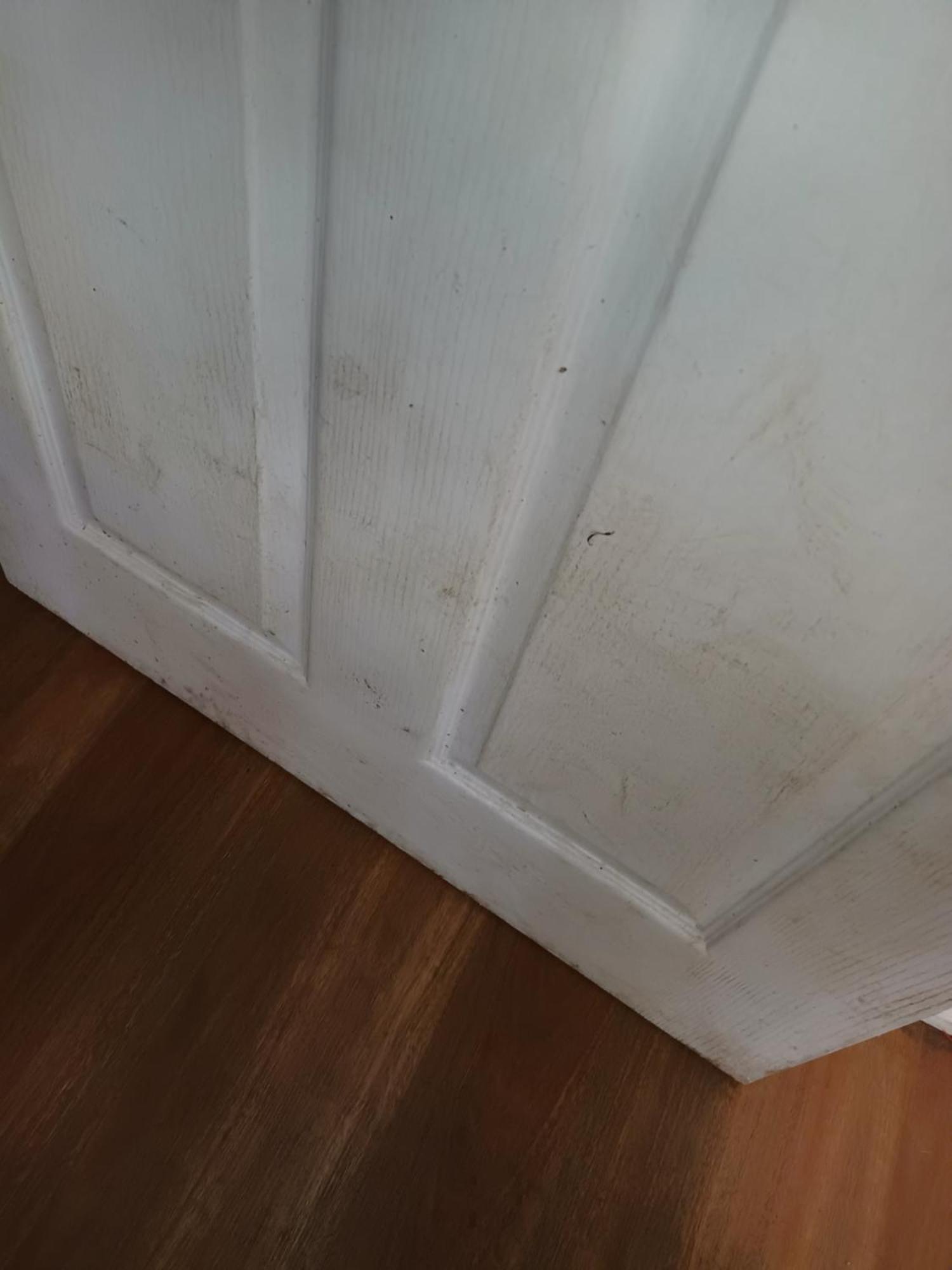 Single Room In Wollongong Near Uni Keiraville Zimmer foto